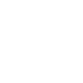 komórki lokatorskie